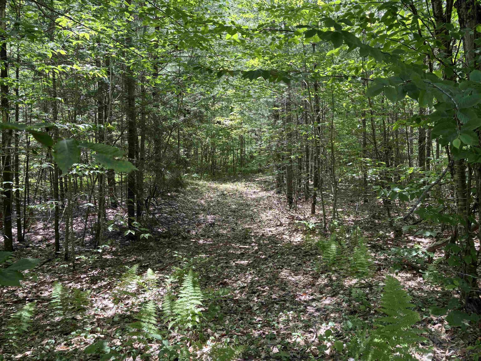 00 Simonsville Road