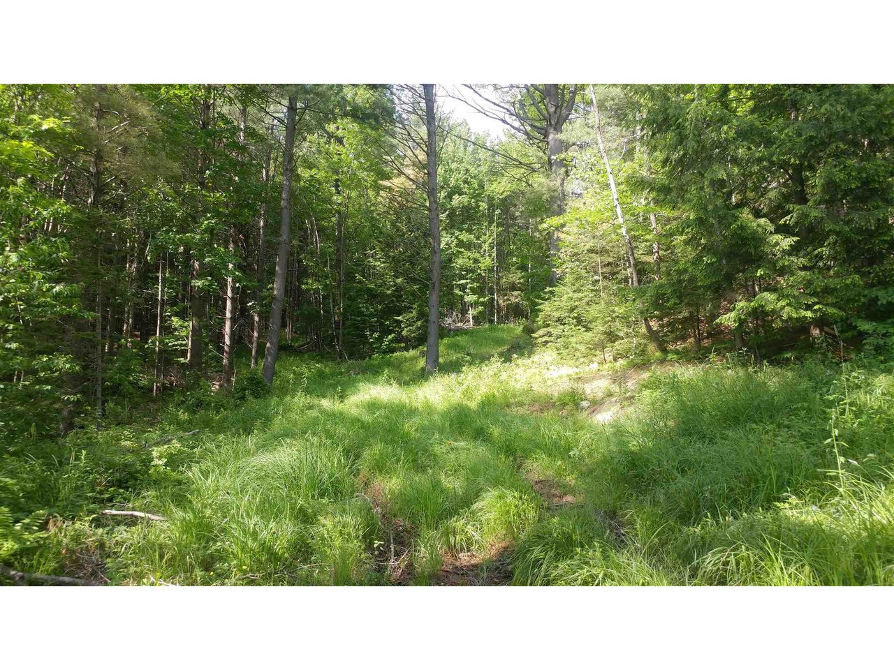 00 South Bear Swamp Road