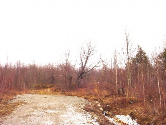 00 State Park Road