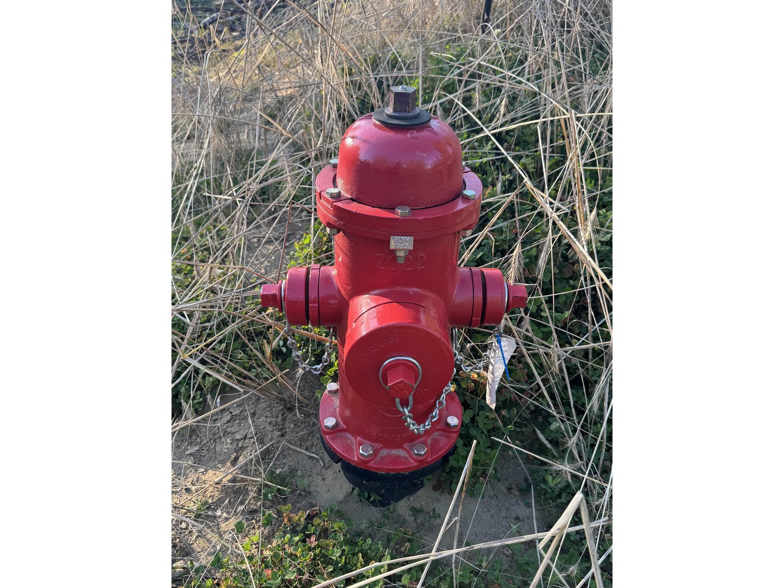 Fire Hydrant