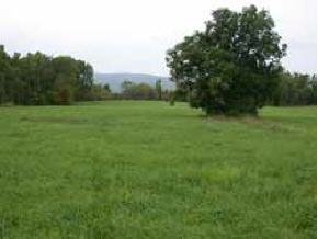 00 Twitchell Hill Rd