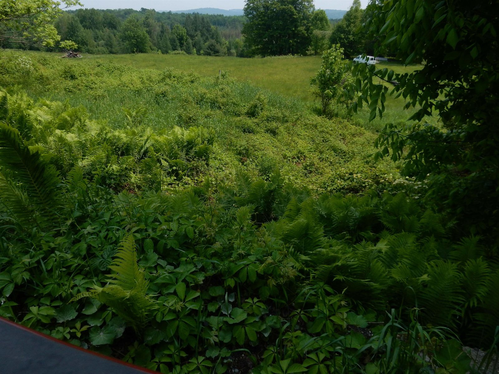 00 Upper Quarry Road