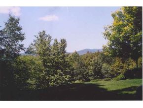 00 Weeks Hill Meadows