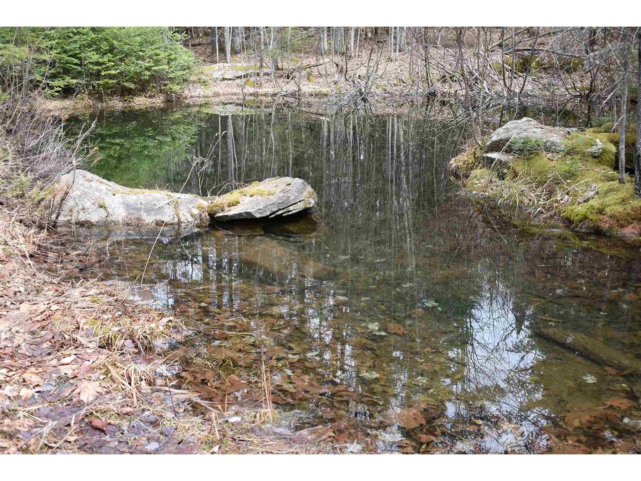00 Willoughby Lake Road