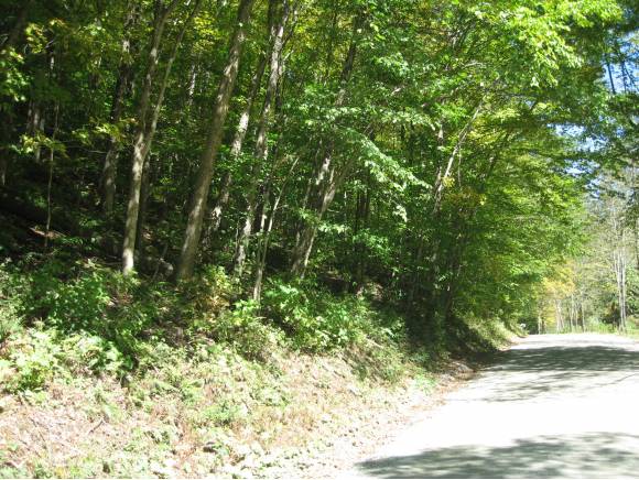 000 Big Hollow Road