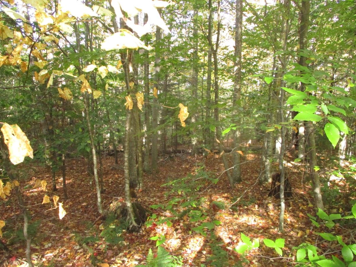 000 Brookview Lane