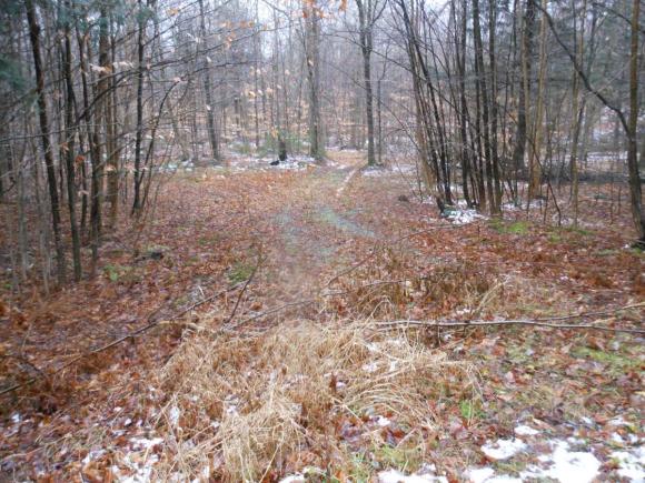 000 Foote Brook Road