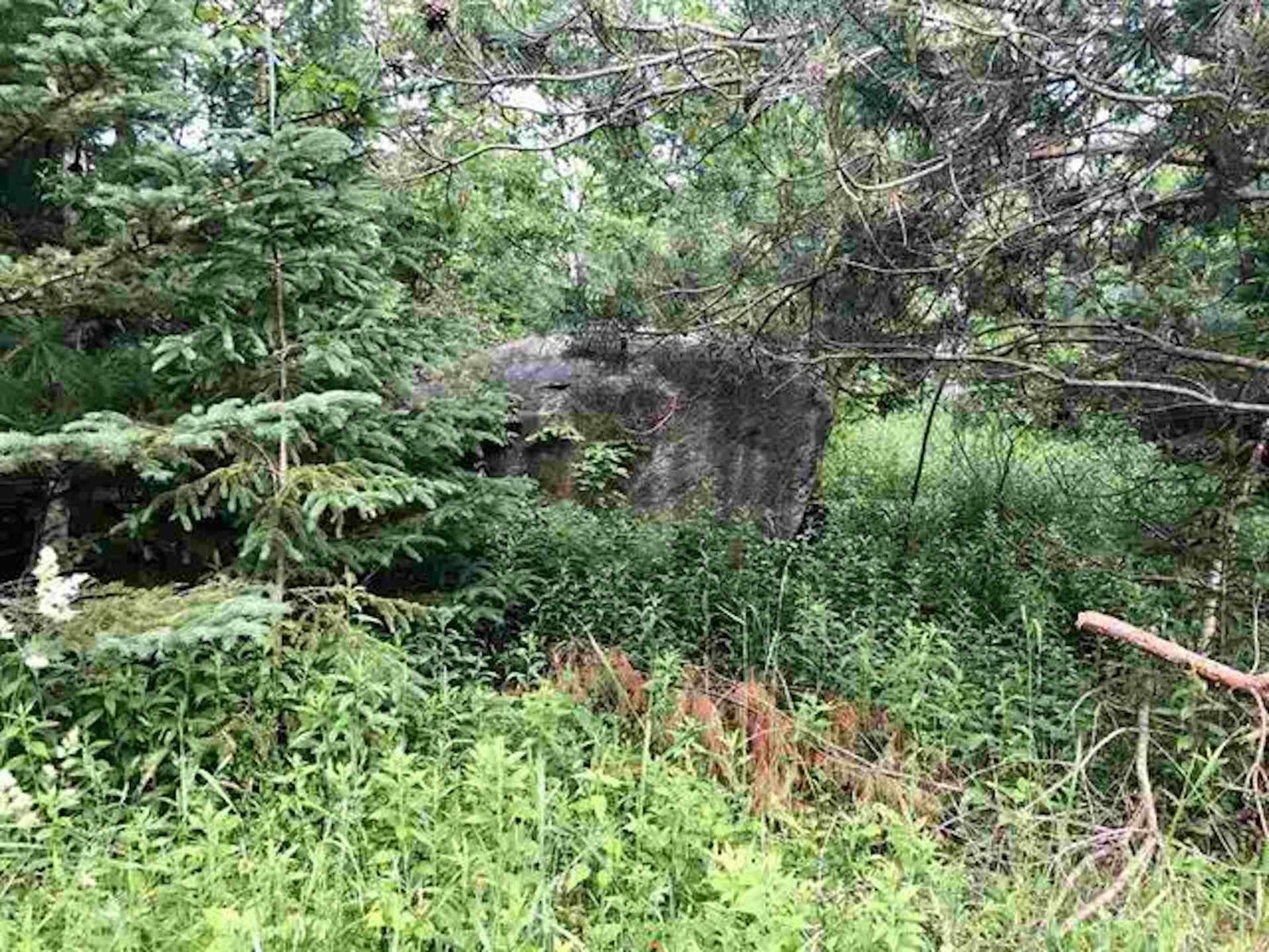 000 Hillside Avenue