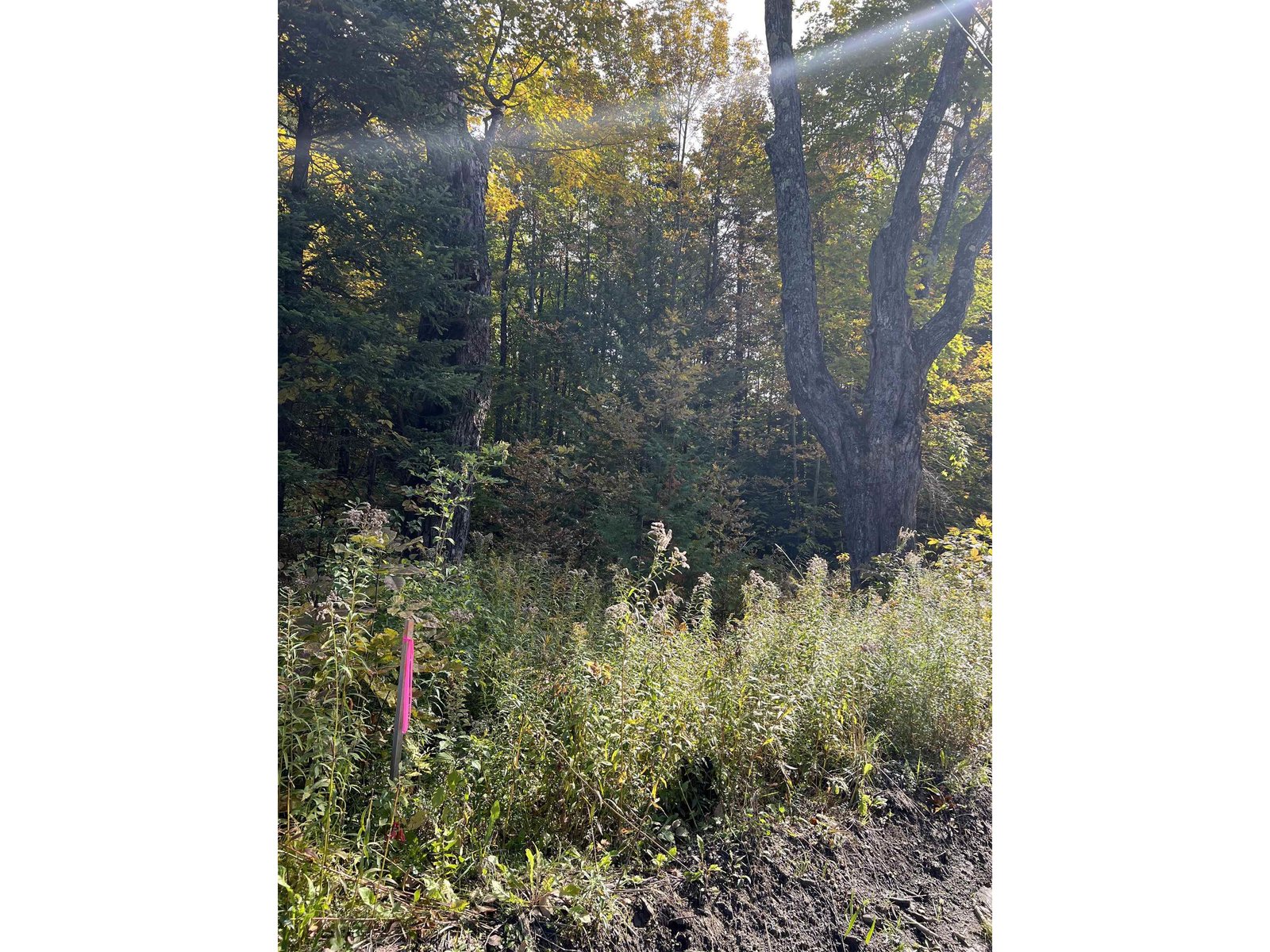 000 Holland Pond Road