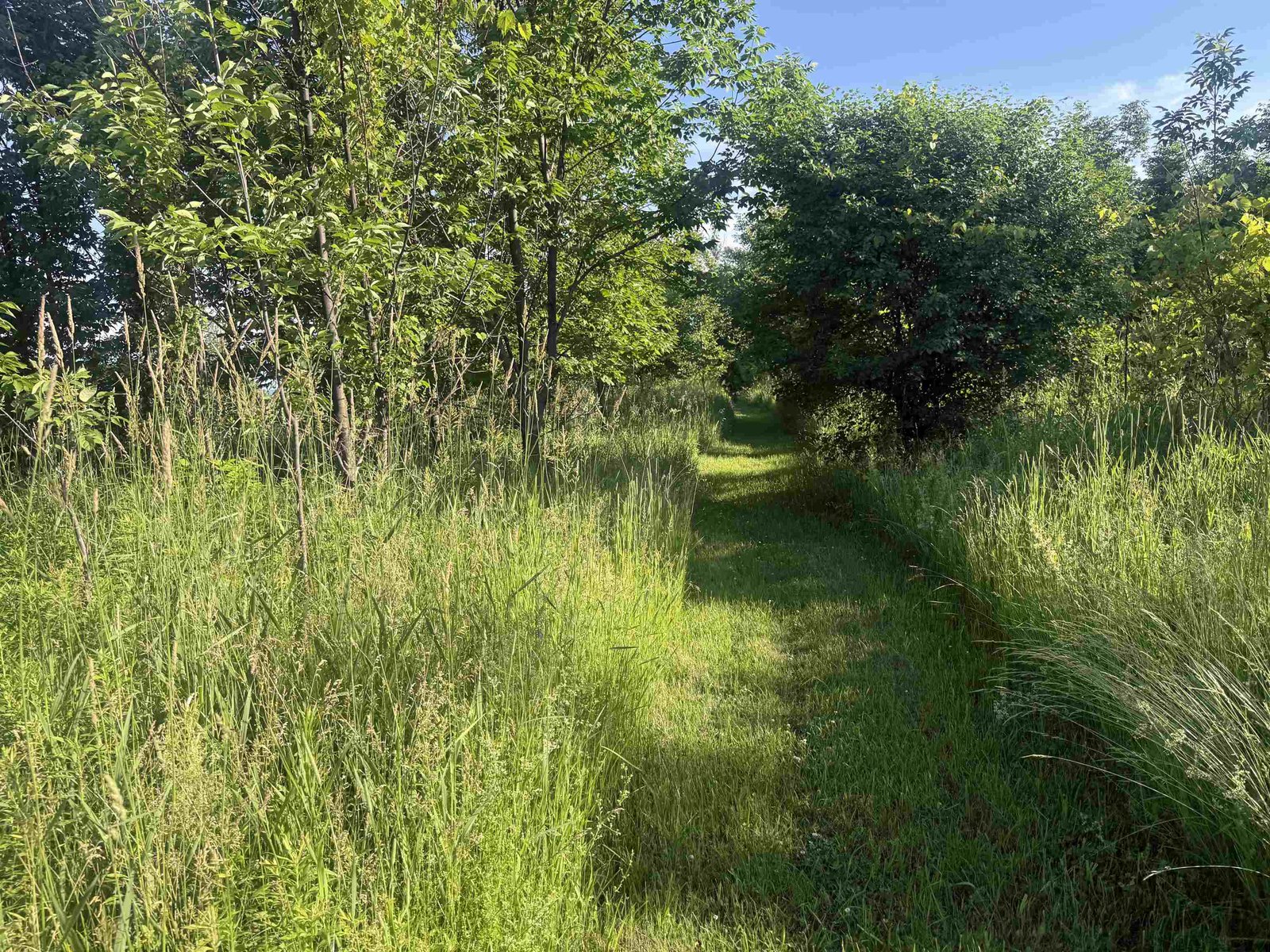 000 Maple Lot #2 Street