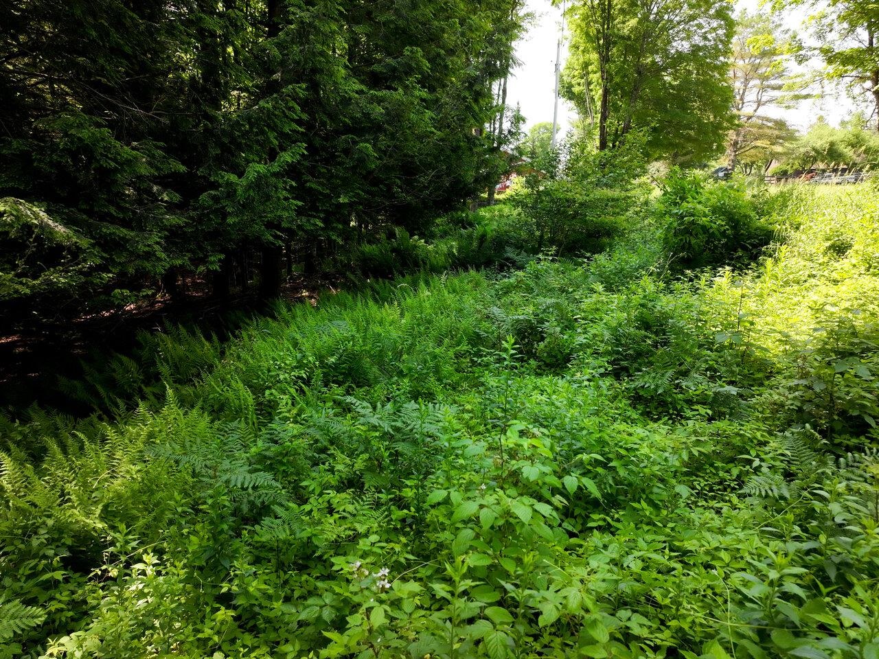 000 Maxfield Road