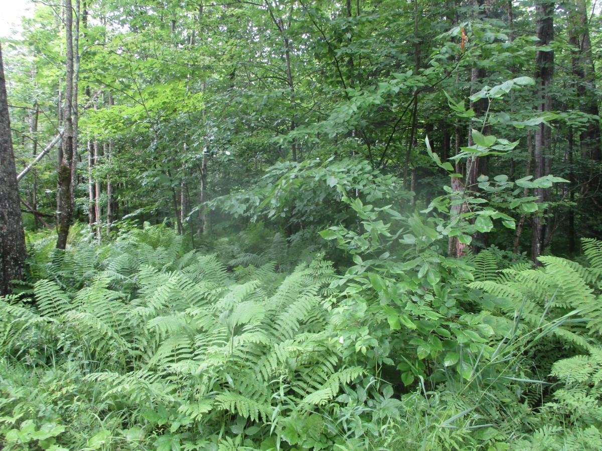 000 Off Plot Road