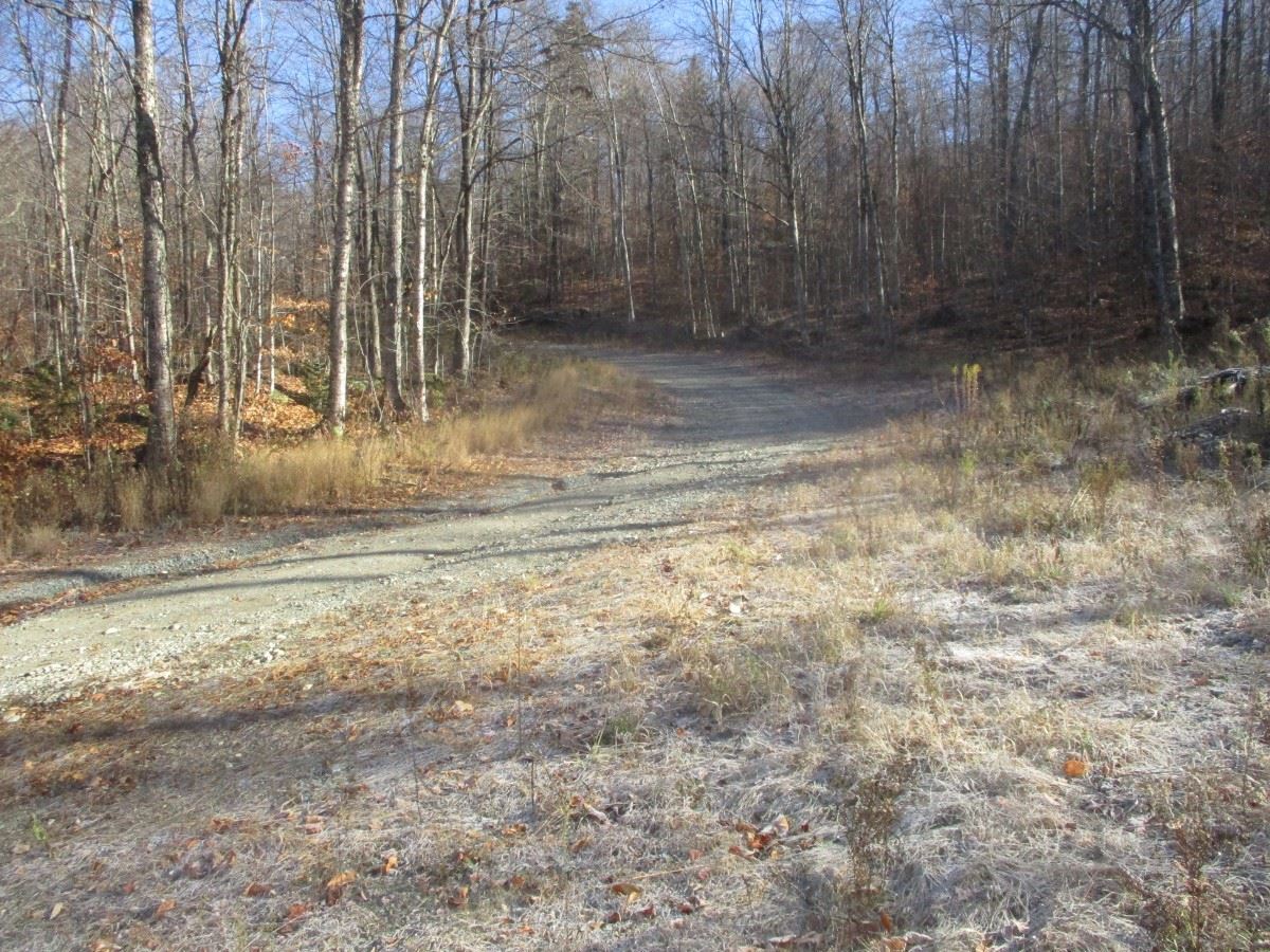 000 Old Mines Road
