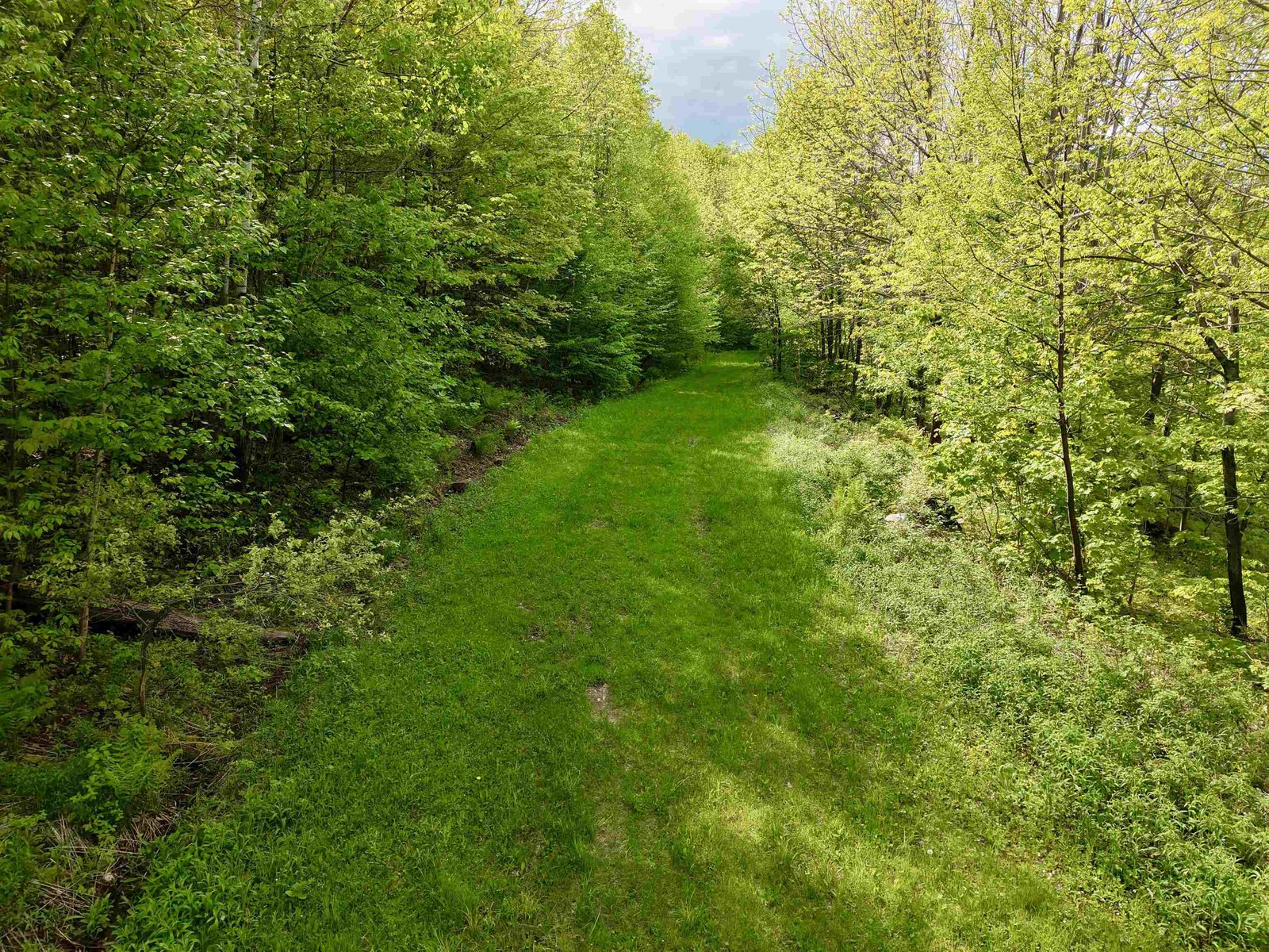 000 Rabbit Run