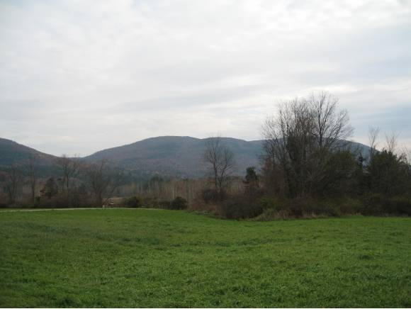 000 River Rd