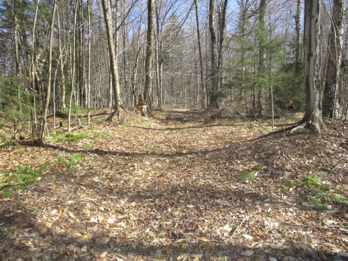 000 Thompson Hill Road