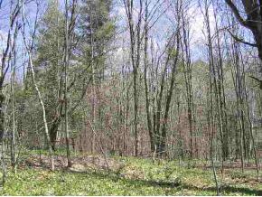 000 Upper Meehan Road