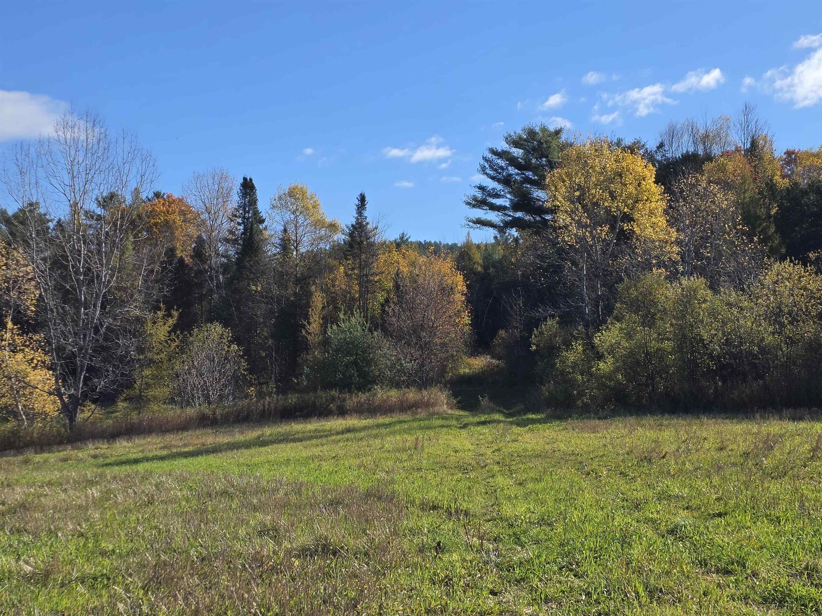 Snowmobile Trail