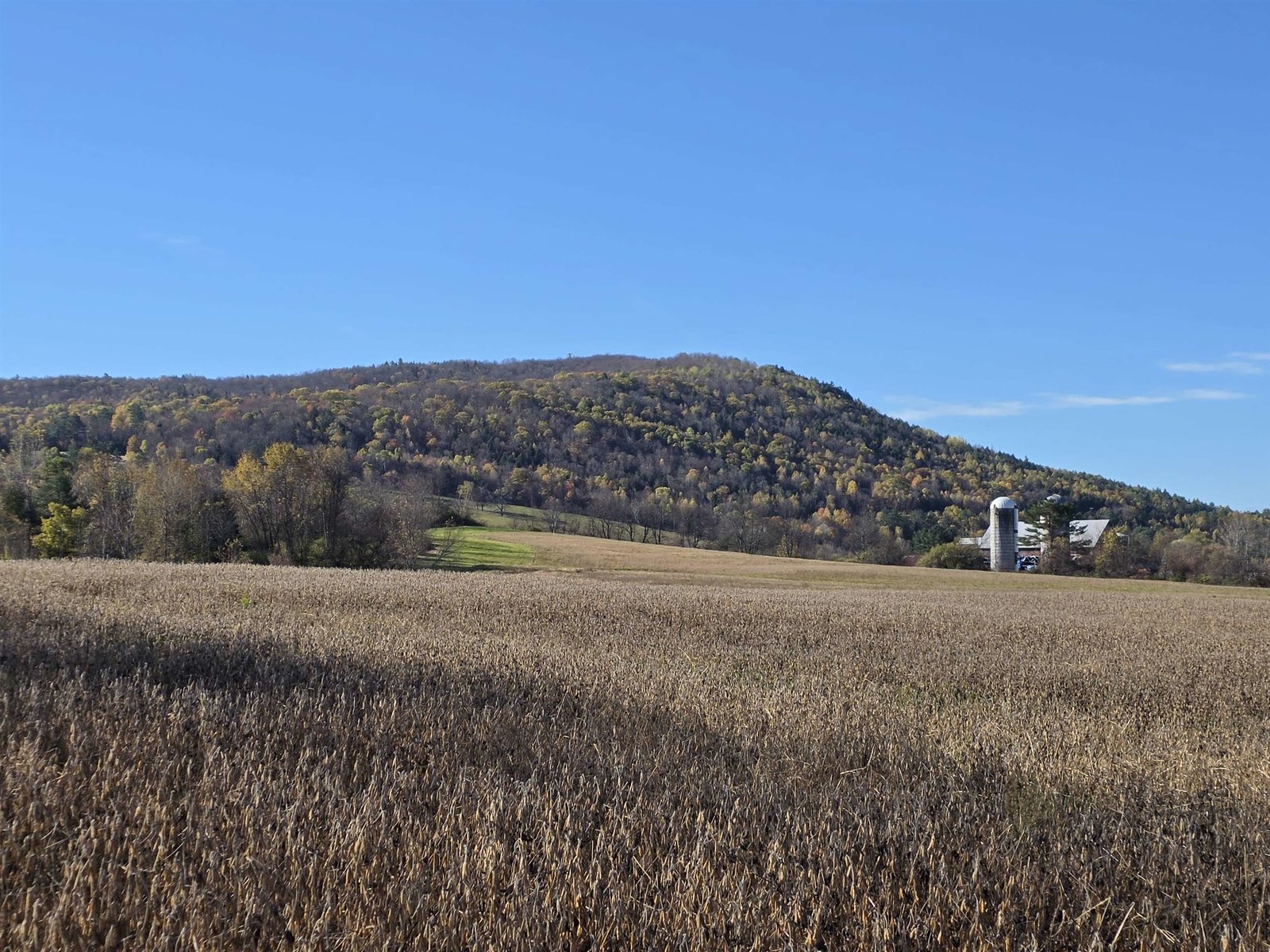 Westerly view