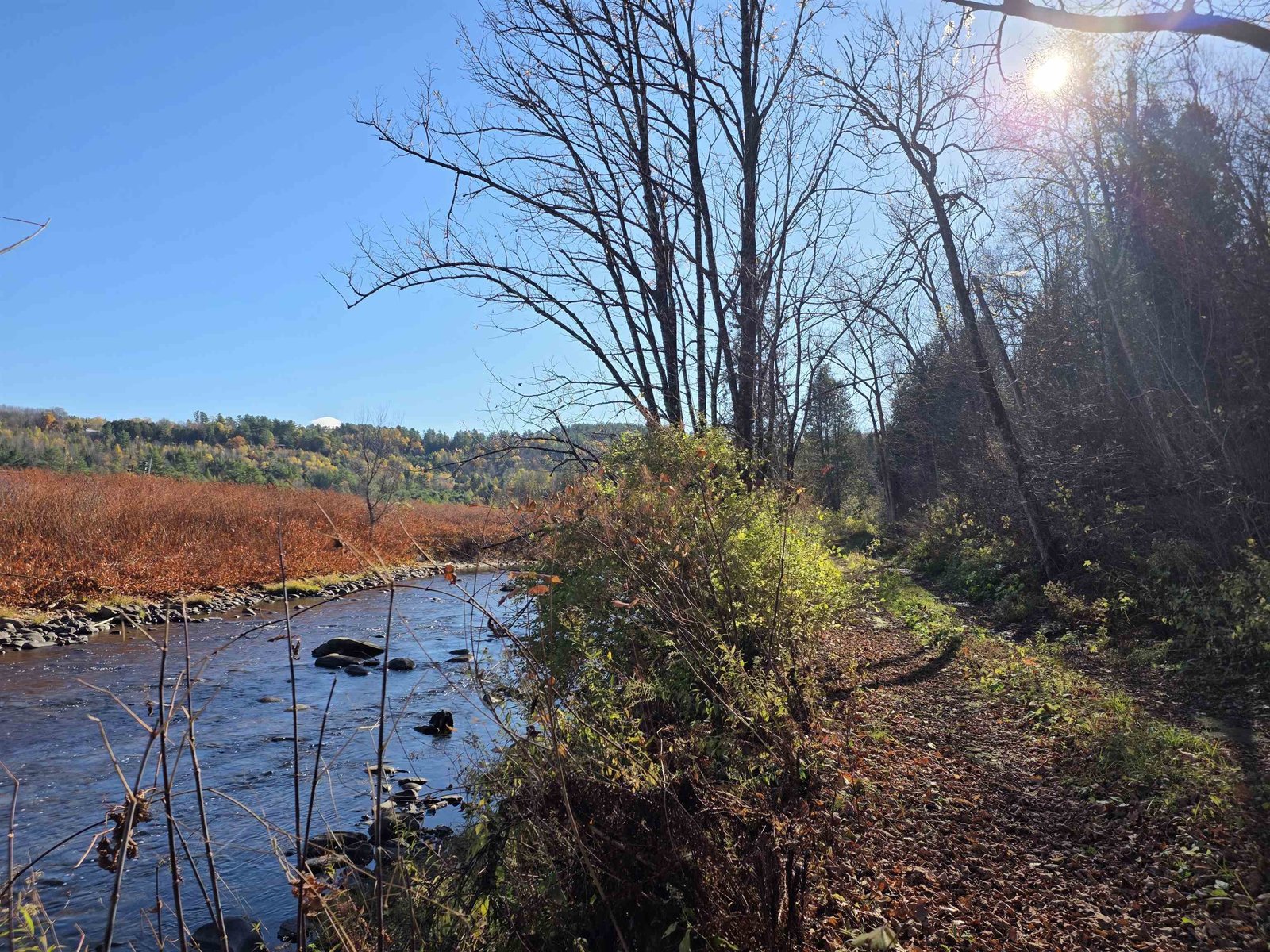 Lane along Moose River