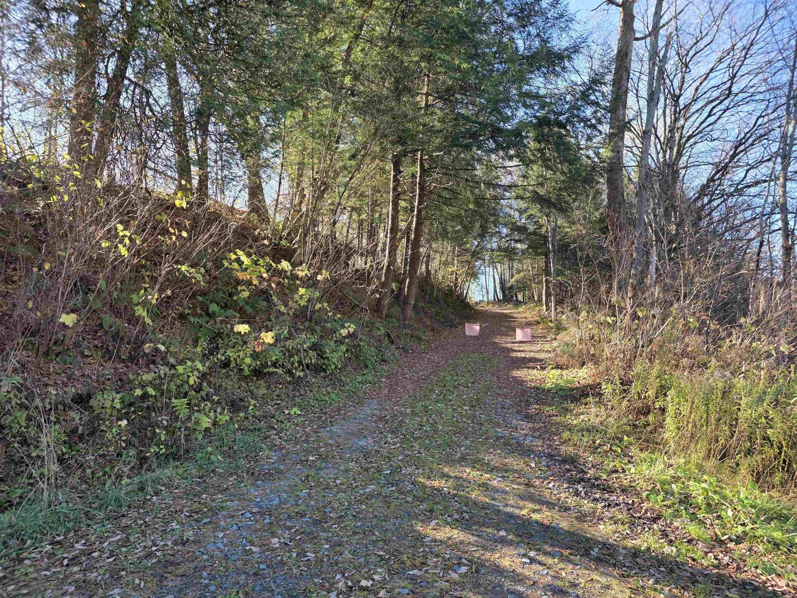 Access Lane to Land