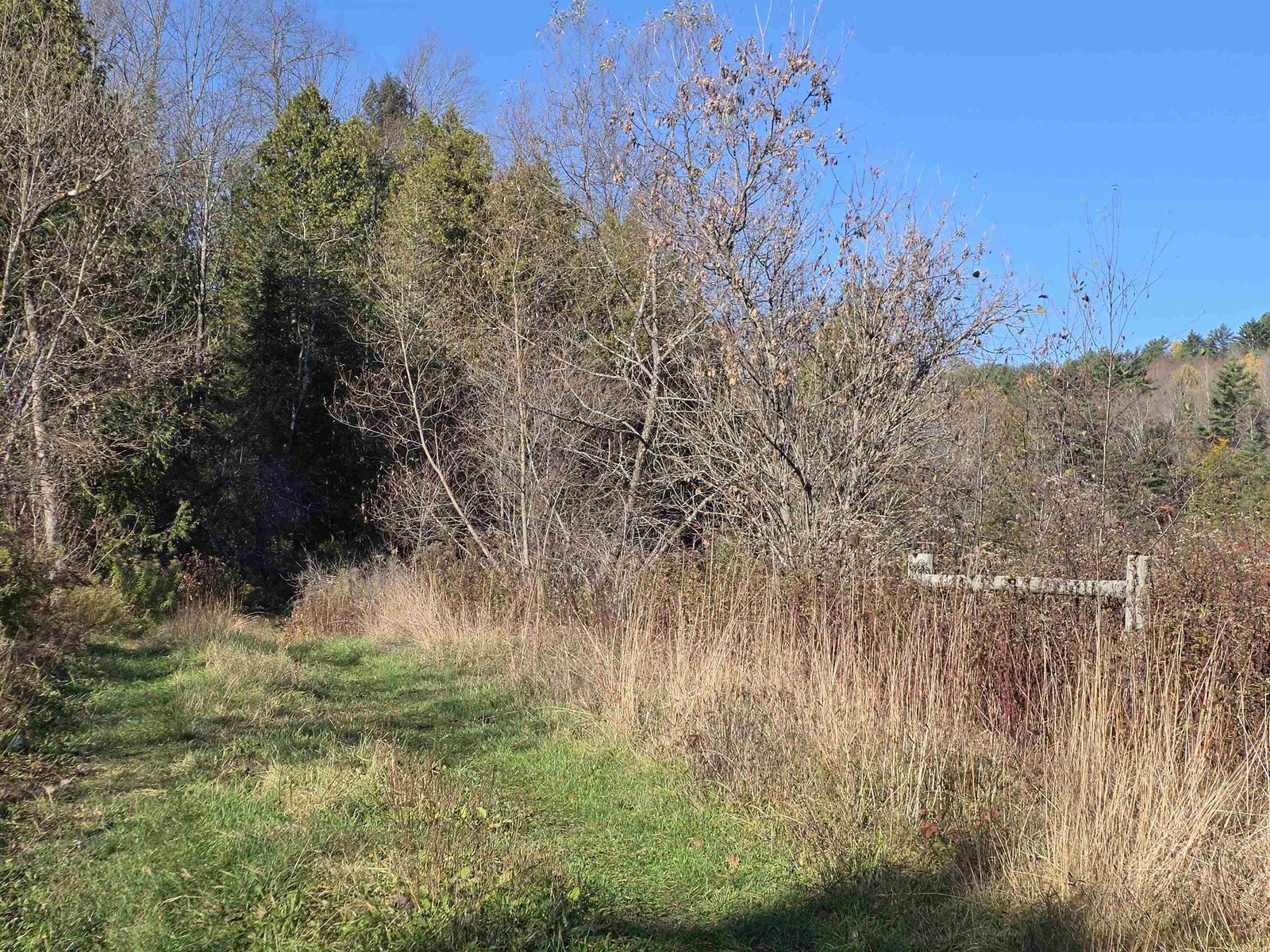 Wood Posts/End of ROW lane along Moose River