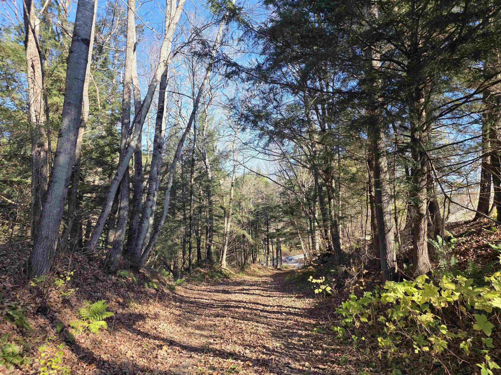 Looking to Rte 2 from access lane