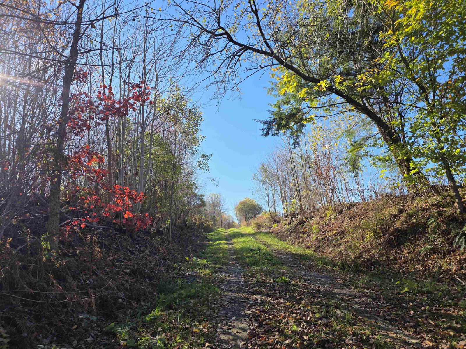Looking up lane to Land