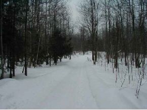 000 White Birch Road
