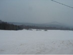000 White Birch Road