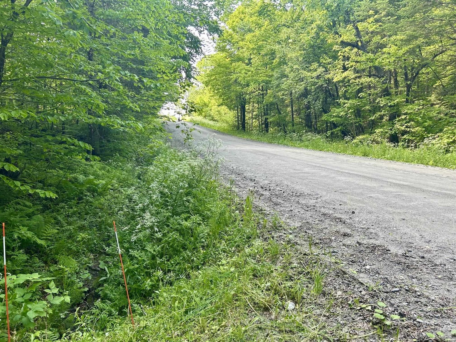 Road Frontage
