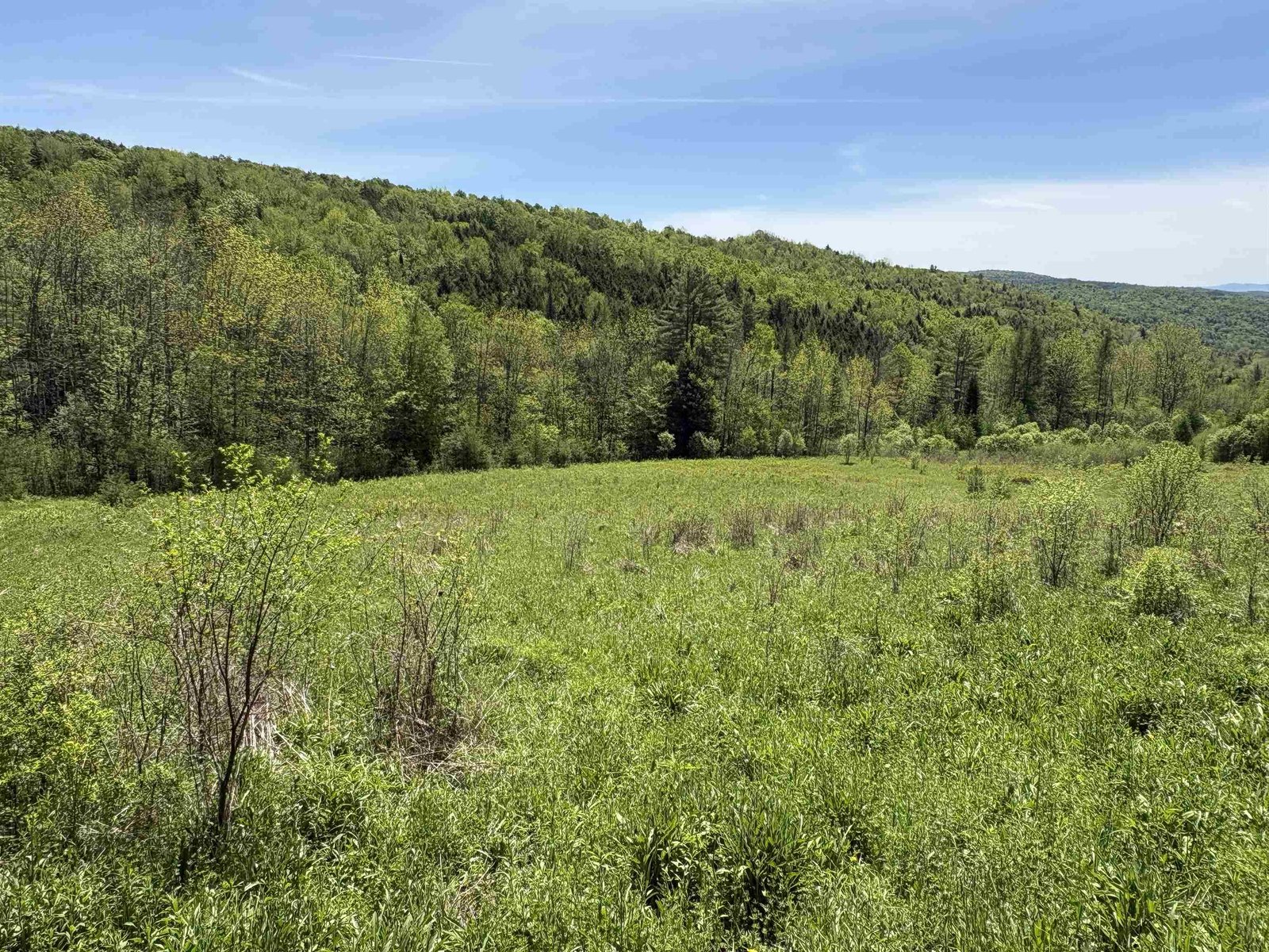 0000 Bear Hill Road, Brookfield
