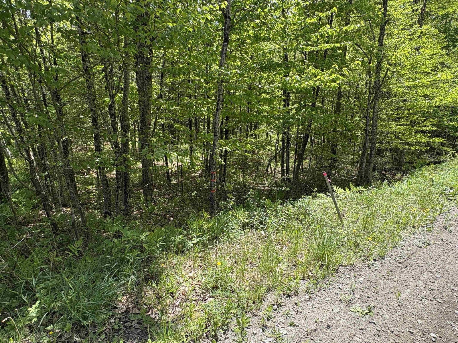 0000 Bear Hill Road