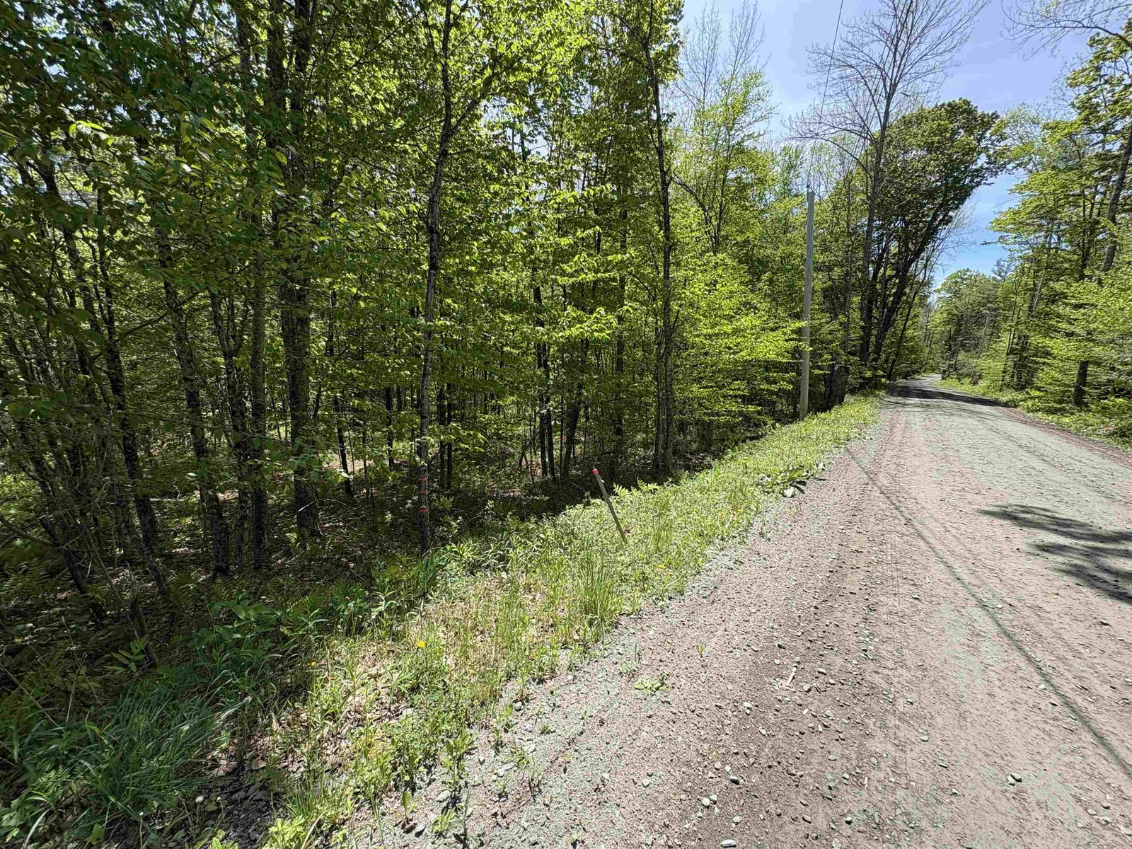 0000 Bear Hill Road