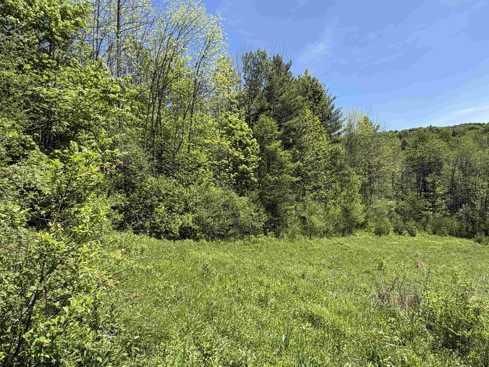 0000 Bear Hill Road