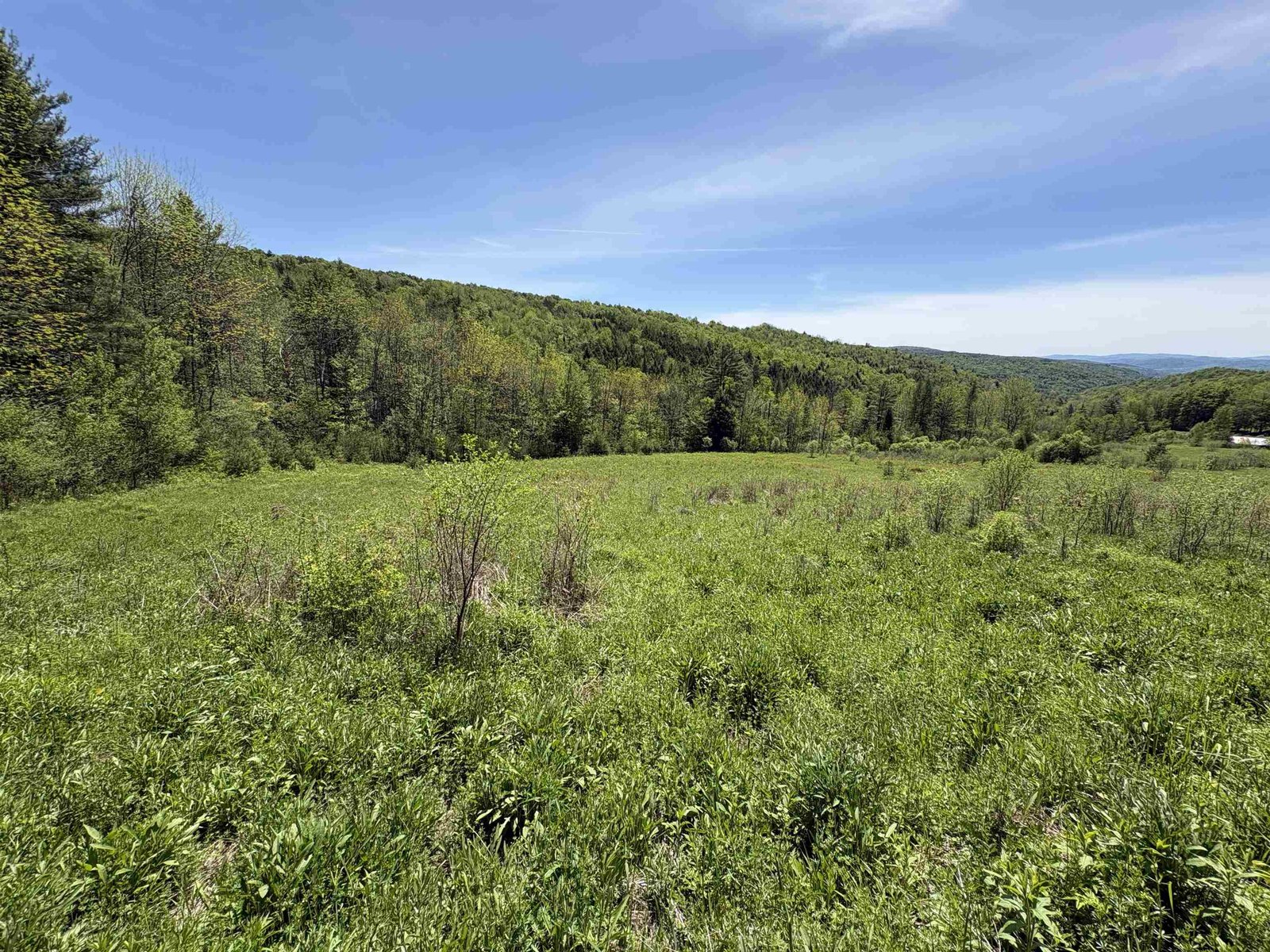 0000 Bear Hill Road