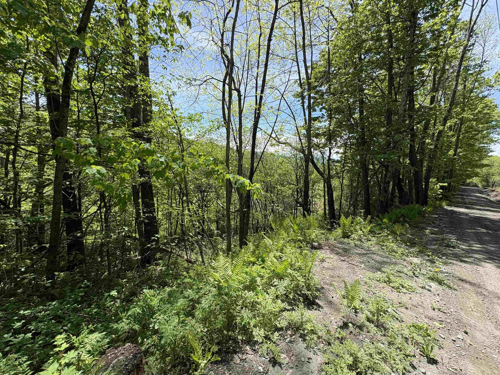 0000 Bear Hill Road