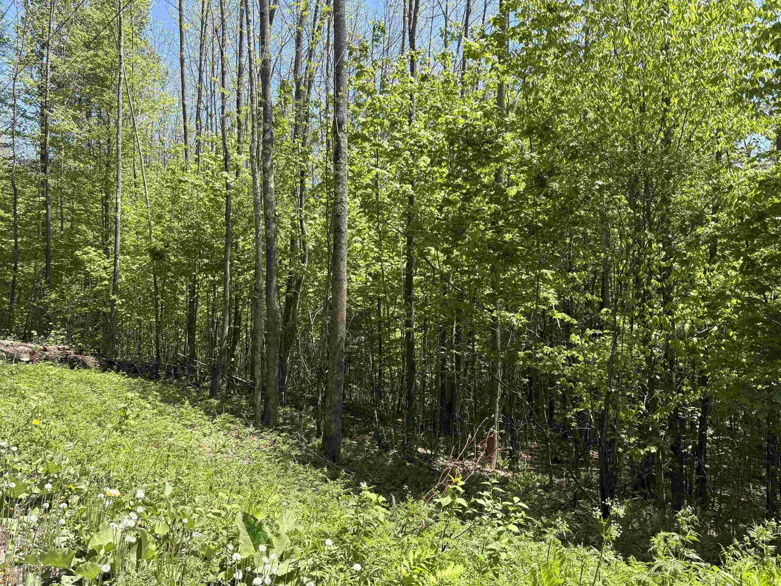0000 Bear Hill Road