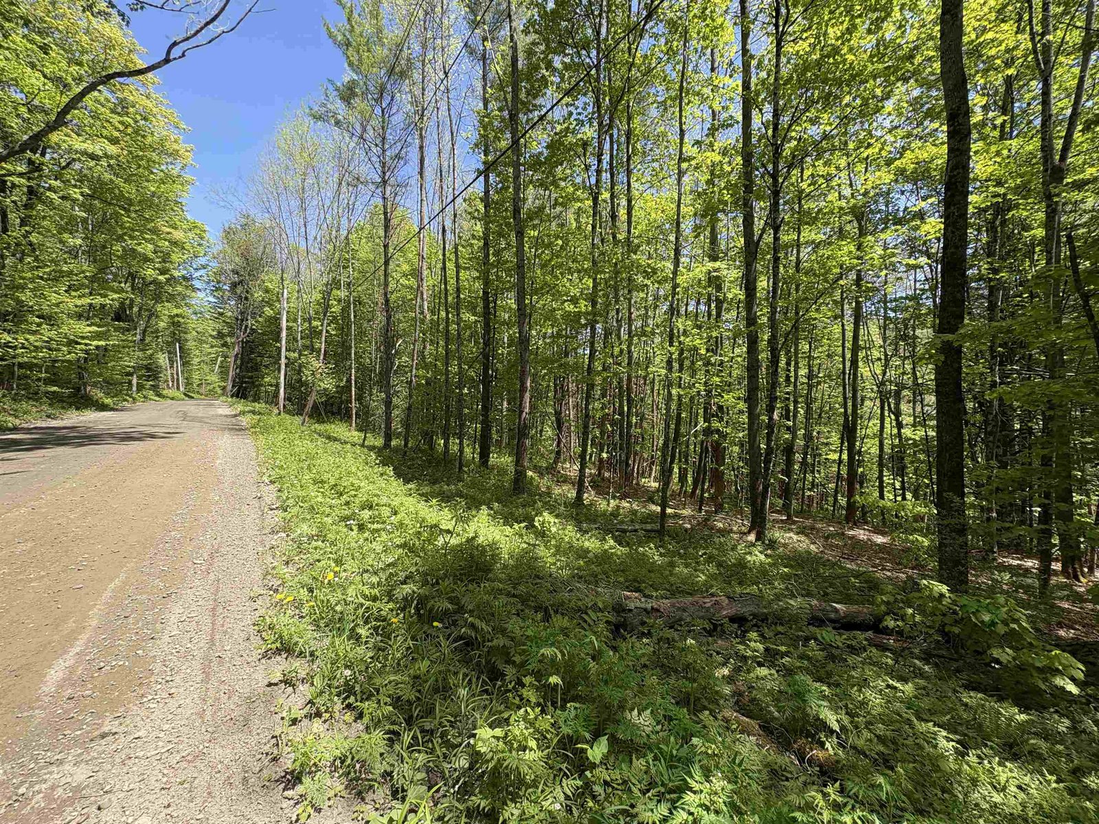 0000 Bear Hill Road