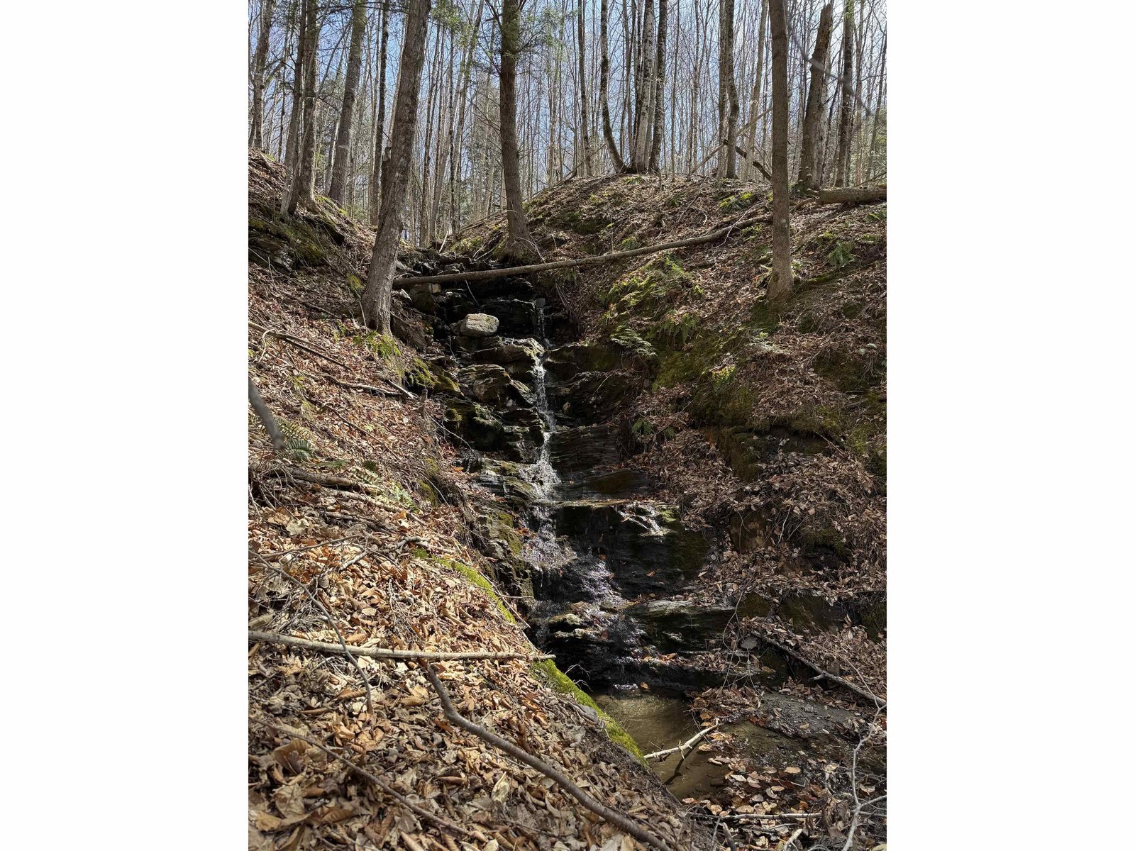 0000 Burke Hollow Road