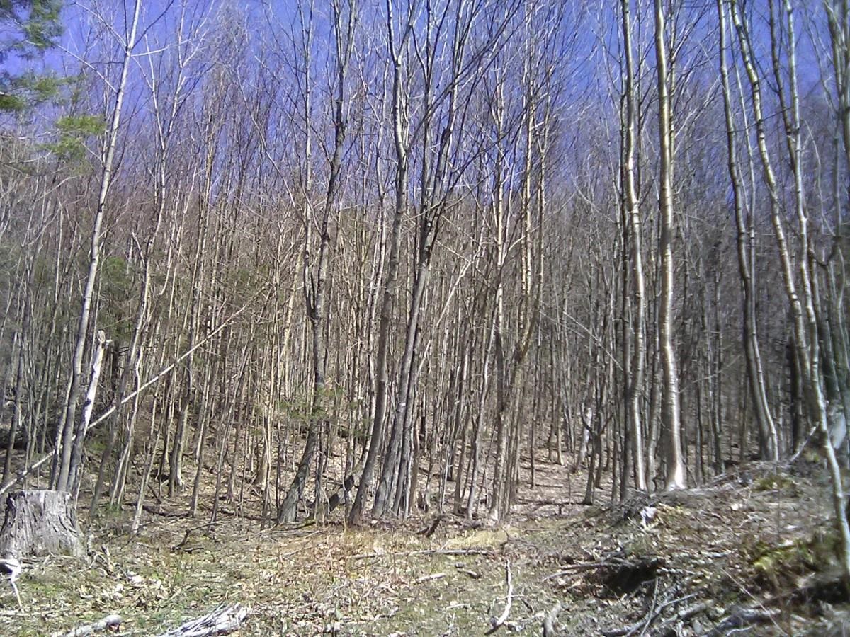 0000 Warren Road
