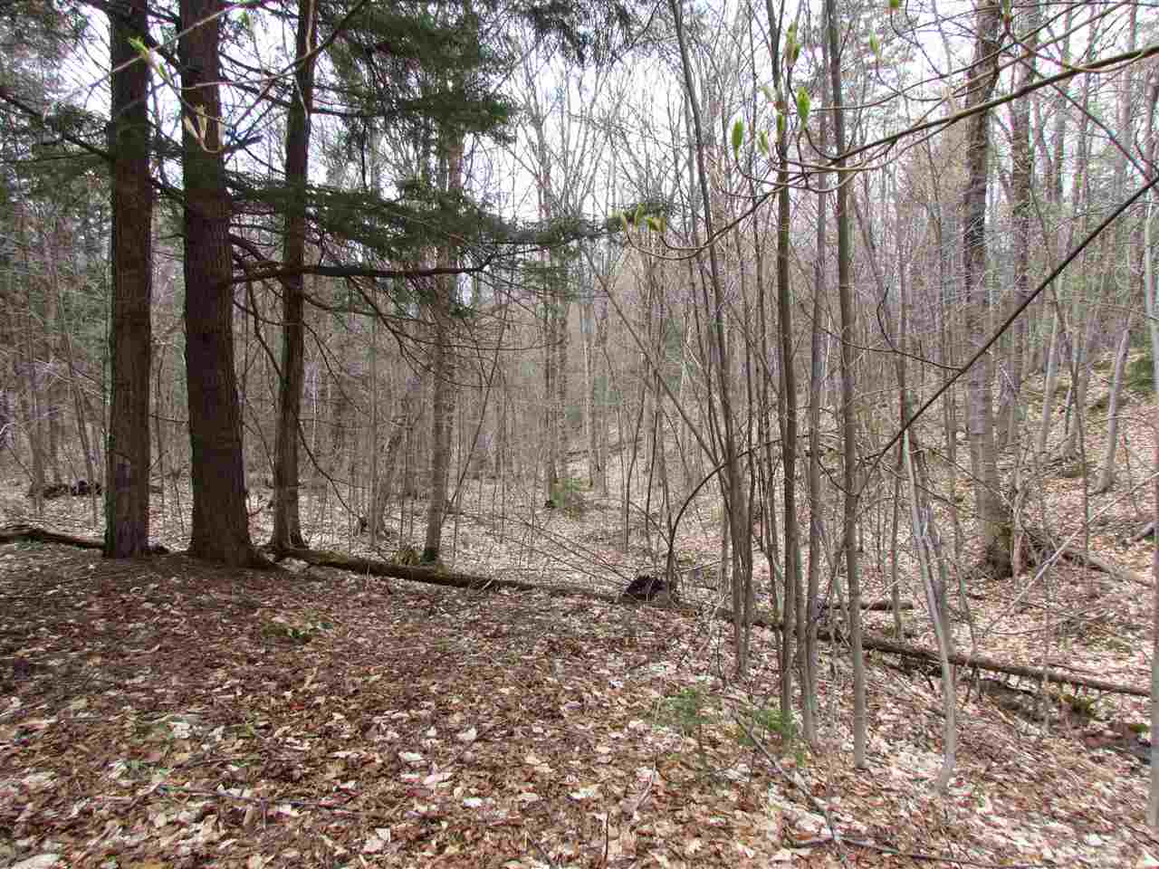 001 Jones Brook Road