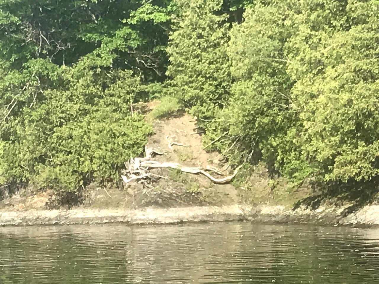 050223 Butler Island West North Hero, Vermont