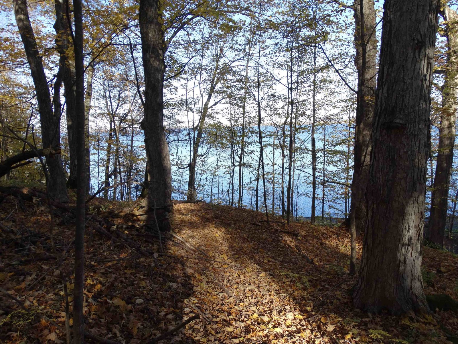 08-0049.11 Butler Island East