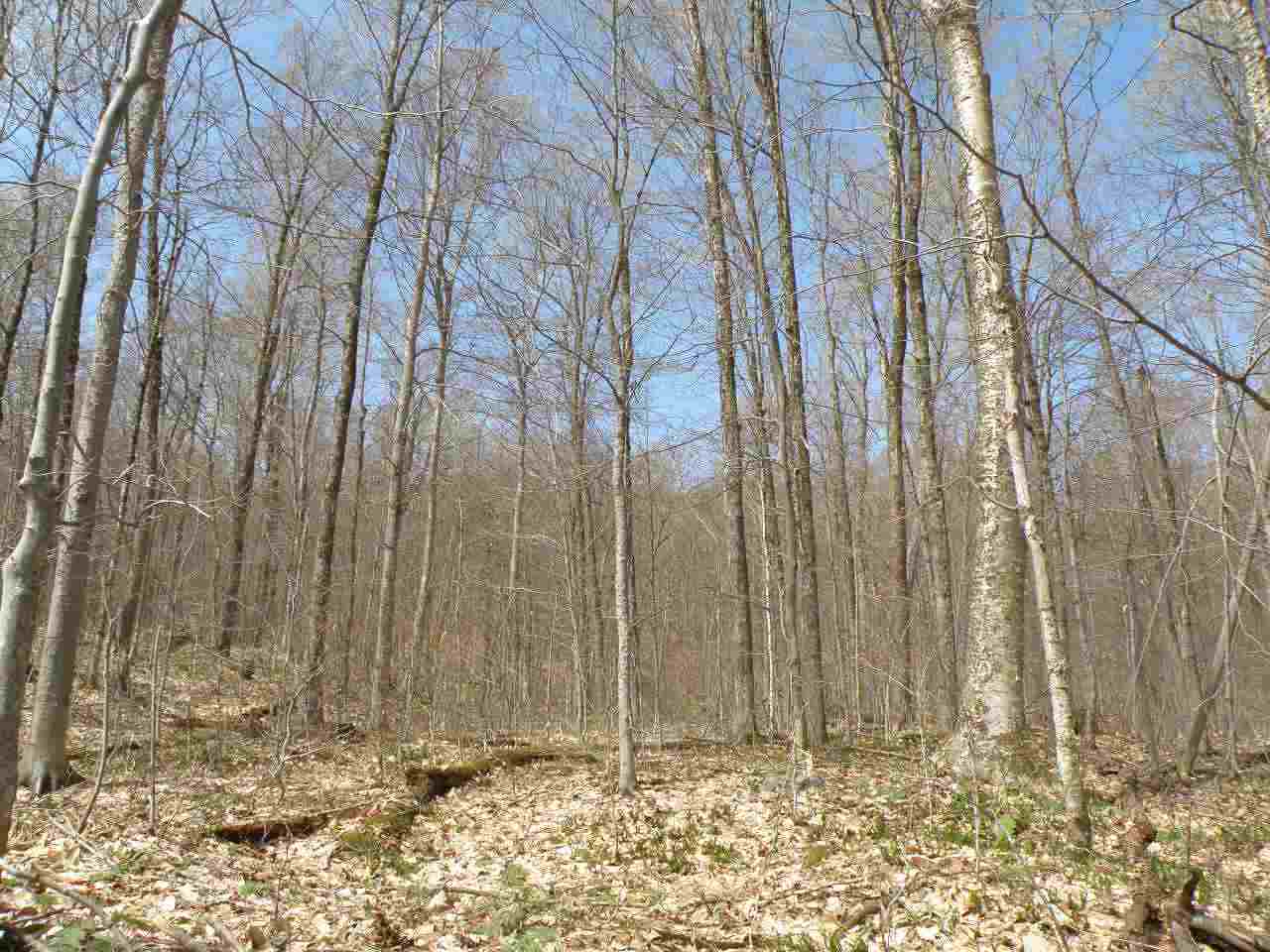 0A Bog Road