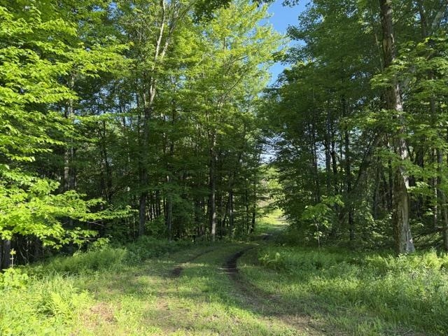 1 DRIFT Lane