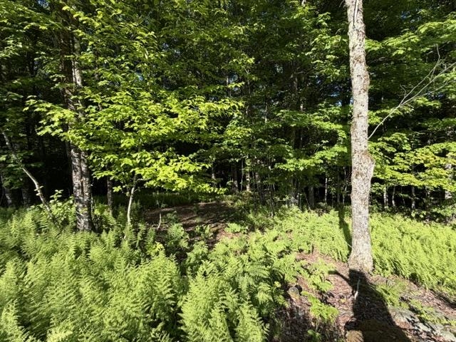 1 DRIFT Lane