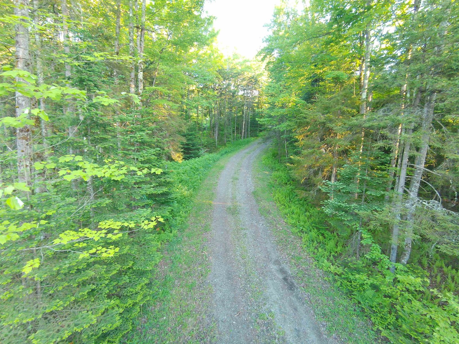 1 DRIFT Lane