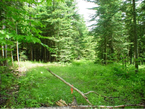 1 East Bear Swamp Road