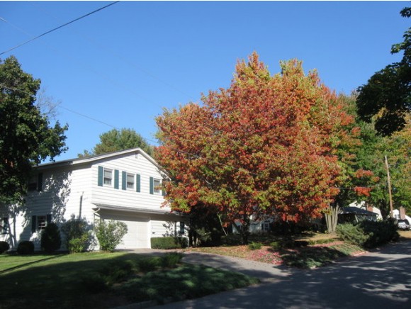 1 Oak Hill Drive
